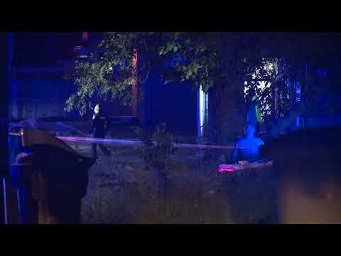 1199 S Wellington Shooting VO