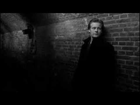 TMSV - Complex Flashback