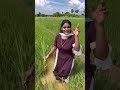 Priyangaraj Trading