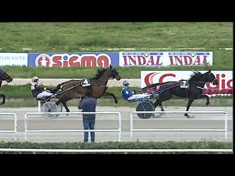 Napoli Trotto 10/04/2023 - 6ª corsa