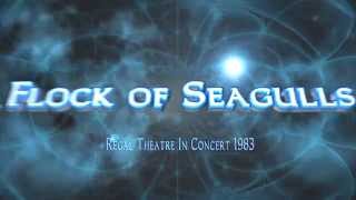 A Flock of Seagulls:  Regal Theatre Live 1983+