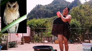 Download lagu saib hluas nkauj hmoob da dej ntxim ntxim hlub part 3 mp3 Download lagu saib hluas nkauj hmoob da dej ntxim ntxim hlub part 3 mp3