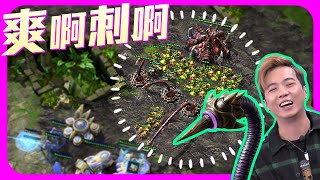 [問題] 星海2地刺設定上是建築單位還是人口單