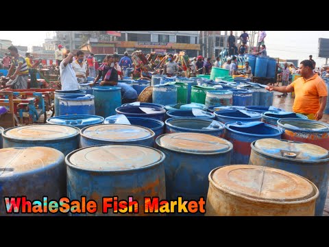 Amazing Biggest Wholesale Fish Market 2020 – Live Fish Market 2020 - मछली बाजार   थोक मछली बाजार