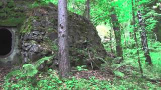 preview picture of video 'Eidsfoss Machinegun bunker'