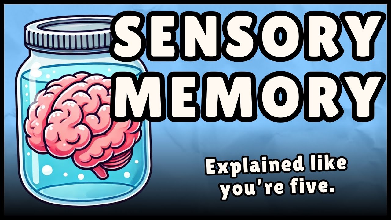 What is Sensory Memory? (Easy Explanation)