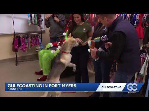 'Gulfcoasting' for Pet Fest at the Lee County Domestic Animal Services - YouTube