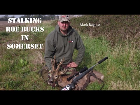 Rehbockpirsch in Somerset (UK), mit Mark Ragless V319