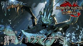 #61 【復帰ハンター】モンスターハンターライズ 実況プレイ