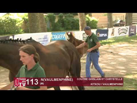 Sprinter Sacré Show 2021 : Lot 113 - N.21 Vaulmenphine