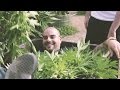 Marijuana Mania Episode 1