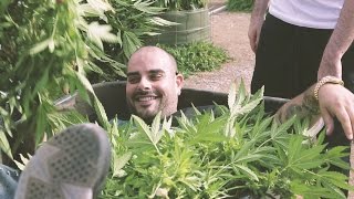 Marijuana Mania Episode 1