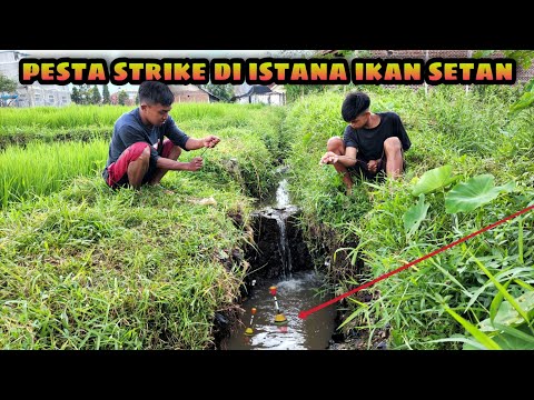 A Boy's Adventurous Fortune!!! Fishing in a Ditch That Becomes a Palace for Demon Fish