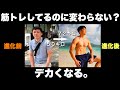 【これかも？】筋トレしてるのに大きくならない原因の一つ