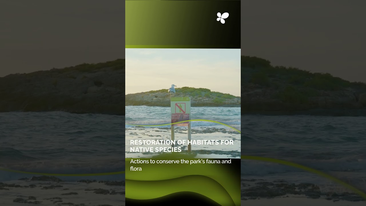 Es Trenc Restores Its Habitats and Improves Public Access in the Natural Park