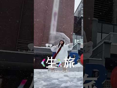 降りたらいきなり雪だべ弘前🌨️