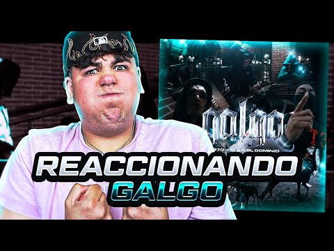 REACCIÓN a KG970, ELE A EL DOMINIO - GALGO (VIDEOCLIP OFICIAL)