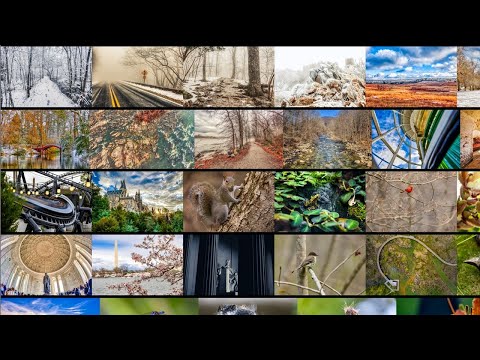 My Best Shots of 2022!