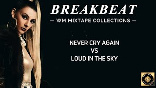 Download lagu NEVER CRY AGAIN VS LOUD IN THE SKY - Requested @gunawanpangestu0888 mp3