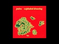 Polvo - Exploded Drawing (1996) [Full Album]