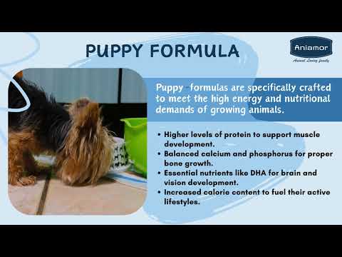 Dry dog food chicken meal for adult - aniamor