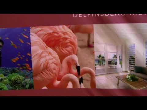 Delfins Beach Resort Bonaire