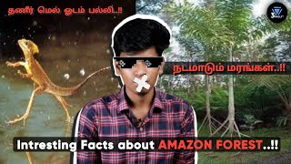 Amazon Forest Facts | 3 FAULT