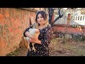 Village Cooking With Freshly Slaughtered Chicken