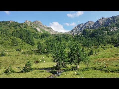Strada degli Alpi dal Sasso della Boggia