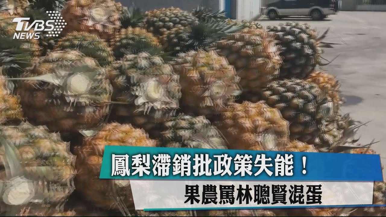 鳳梨滯銷批政策失能! 果農罵林聰賢混蛋