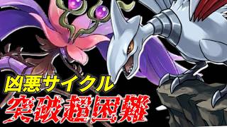 【※超凶悪サイクル発見！】　この2匹の並び崩せる奴いる...？！相性補完抜群！！　＃メガドラミドロ　＃エアームド　＃ポケモンチャンピオンズ