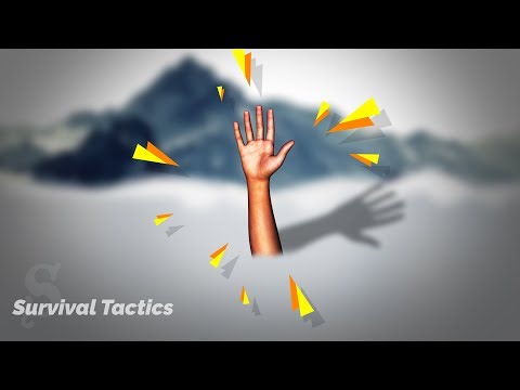 Wie man eine Lawine überlebt