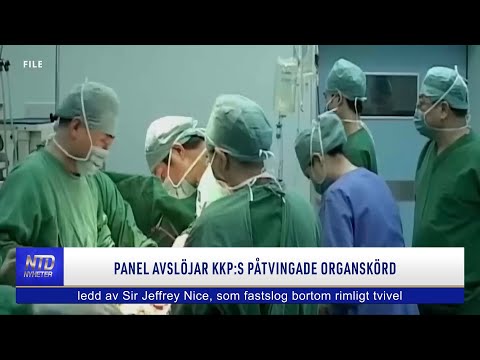 Panel avslöjar KKP:s påtvingade organskörd | NTD NYHETER