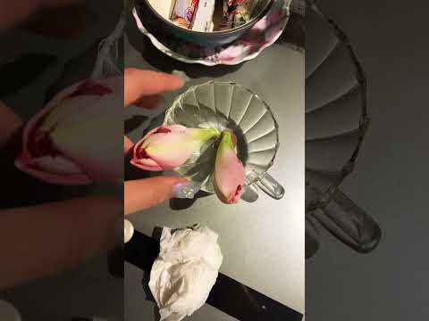 アマリリスを切り花として育てる 植物