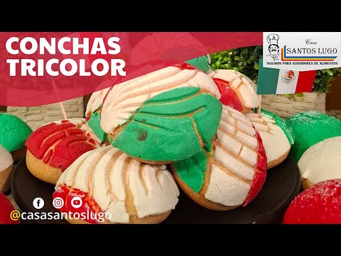 CONCHAS TRICOLOR🇲🇽 RECETA FACÍL PASO A PASO⭐