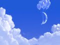 Dreamworks Animation SKG Home Entertainment Side Widescreen