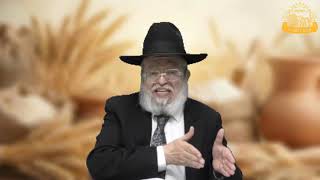 דף היומי בחצי שעה – מסכת מנחות דף צ”ט