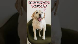 - 泡だらけのビールと犬とひろゆき?【ひろゆき切り抜き】 #shorts #ひろゆきショート