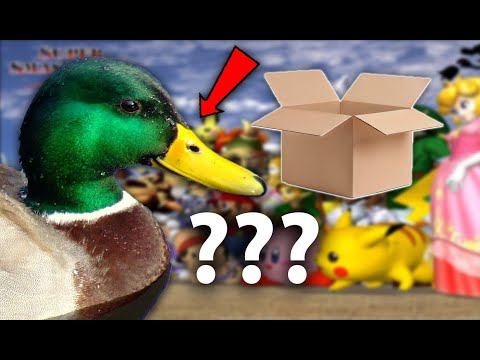 A DUCK Wants To Play Melee With A Box!? Ft. Spark
