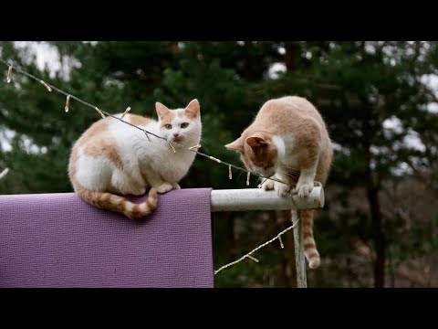 WILDCATS’ JUSTICE CARILLONS of PHILOSOPHIC MASTERBOARDS #1-#10 [of 360] [DRAFT #1]