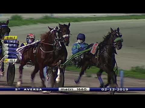 Aversa trotto 2 Dicembre 2019 - 5° Corsa Premio MICHELANGELO