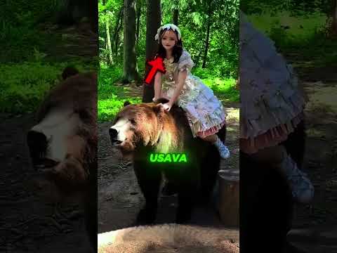 depois desse dia, os gatos nunca mais aprontaram