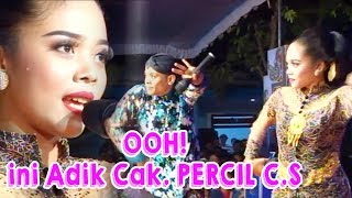 Download lagu OOO! Ini Adik Cak Percil mp3