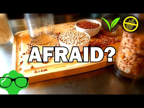 Canned Beans Vs Dried Beans | How to Cook Dried Beans | Are Dried Beans Poisonous!? 😱