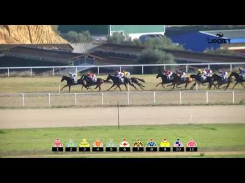 5 Carrera, Gran Premio Ayto. Dos Hermanas, jornada 24 de diciembre 2016 - G. H. Andalucía