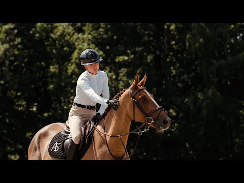 15 Togo di Magico de Res Nova horse profile 2 copy