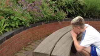 The Happiness Bench - The Feathers Hotel