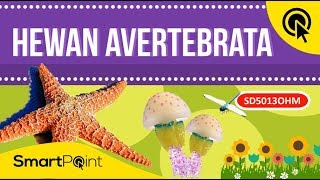 darahfuzziblog Sistem Peredaran Darah Pada Invertebrata