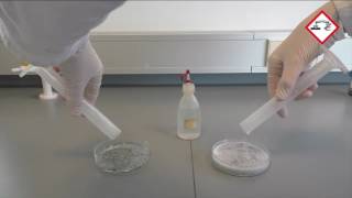 Download lagu 157 THE INFLUENCE OF THE REAGENT ON THE REACTION SPEED mp3