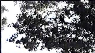 09-Hecate Enthroned - An Ode From A Haunted Wood.avi